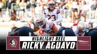 Florida State K Ricky Aguayo Highlight Reel - Career Highlights | Stadium