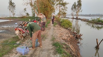 4 anh em xiệt cá về đêm mùa nước giật cá lóc bự thấy ham quá 