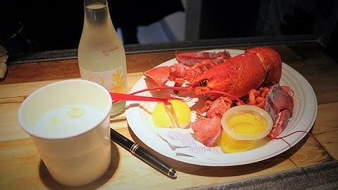 초간단 MongoDB 강좌 1 - 설치