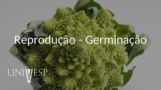 Fisiologia Vegetal - Aula 09 - Reprodução - Germinação Fisiologia Vegetal - Aula 09 - Reprodução - Germinação