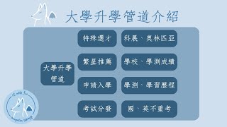 大學升學管道-特殊選材與繁星推薦