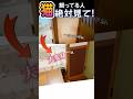 猫に壁ボロボロにされた人、これで隠せる！
