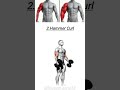 4 exercise for bigger Arms