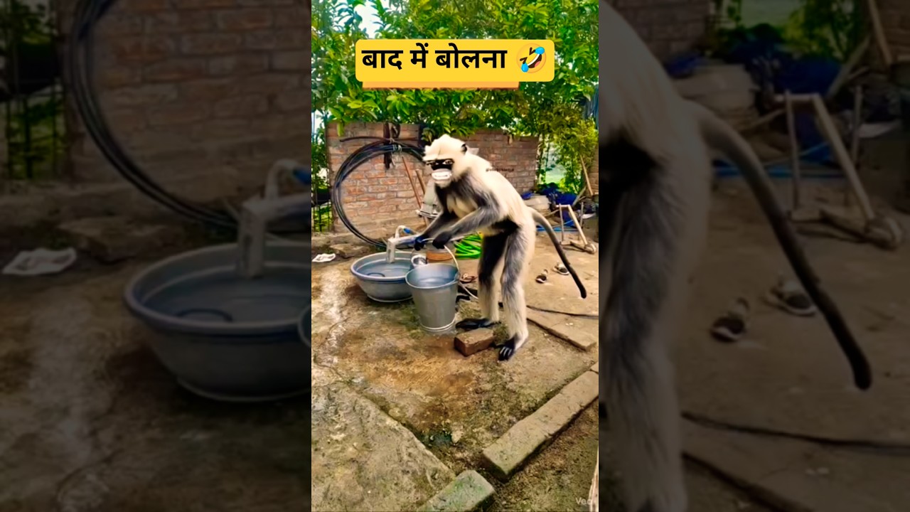 बाद में बोलना 🤣