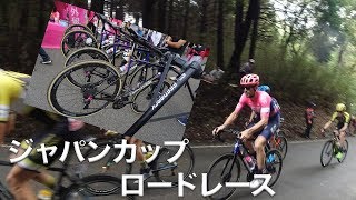 【ジャパンカップ2019】ロードレース観戦