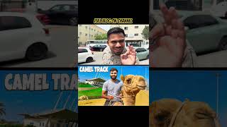VISITING CAMEL 🐪 RACING TRACK 🤩 || @HamzaKeVlogs01