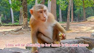 Fresh News..Libby will be returning to her home in the near future, I am happy to inform you all