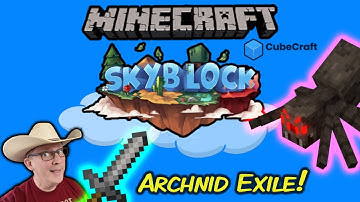 CubeCraft SkyBlock Arachnid Exile