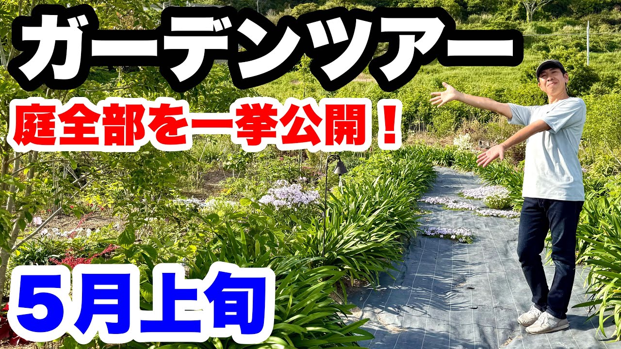 ◇Entire garden open to the public! [Garden Tour] Early May - YouTube