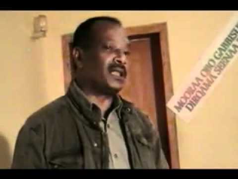 Dhaamsa Hayyu Duree ABO