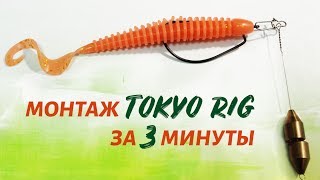 Монтаж Tokio-Rig  за 3 минуты