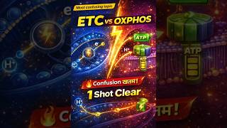 ETC vs Oxidative Phosphorylation 🤯 | Most Confusing Topic Simplified