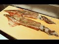 寿司職人によるヤリイカの仕込みから握りまで〜How To Make Sushi Series〜