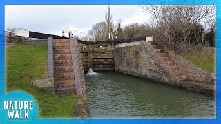 Soothing walk down a picturesque canal with locks (Nature Visualizer)