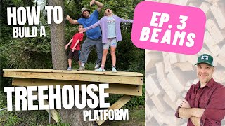 How to Build an AMAZING Kids' Treehouse Platform  |   Ep. 3   |   Installing Beams & Crossbeams