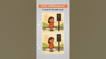 Only a Genius Can Spot All Differences! 🚦👀