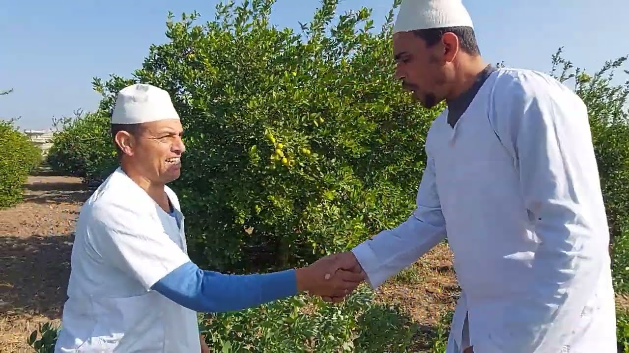 شاهد ما فعله العمال في بسله الحاج شخلول 🤣- هتضحك من قلبك مع كوميديا مصريه 😂😆