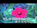 愛の迷路 カバー林淑貞(テイ)106/11/03