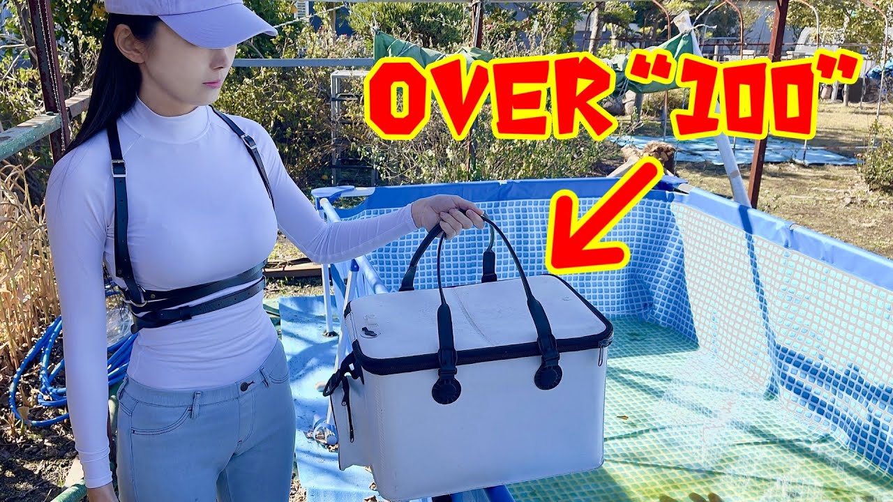 他種大量の活き餌を獲り、凶暴なペットが住む巨大水槽へ投入…釣りで捕まえた雷魚がメーターを超えるまで…