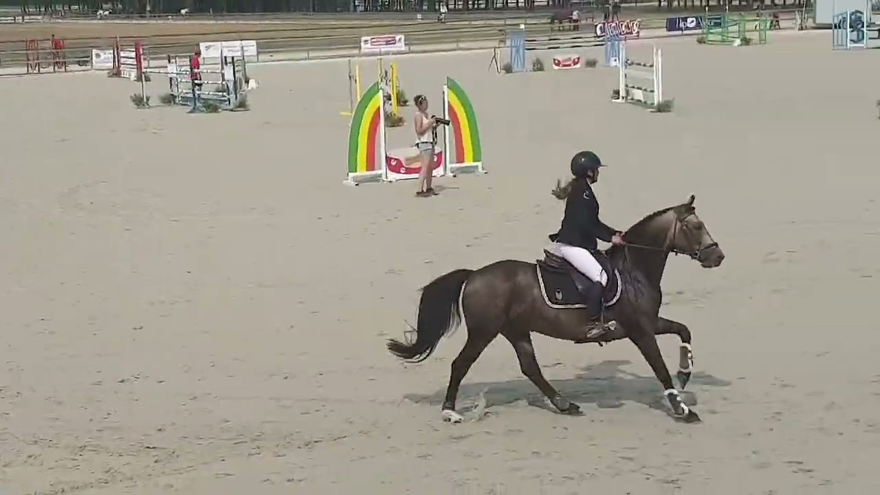 Box Office du Péna LAYS Etalons As poney élite Excellence Sologn'pony août 2021