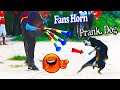 Must watch funny fans horn prank dog very funny without stop laughing