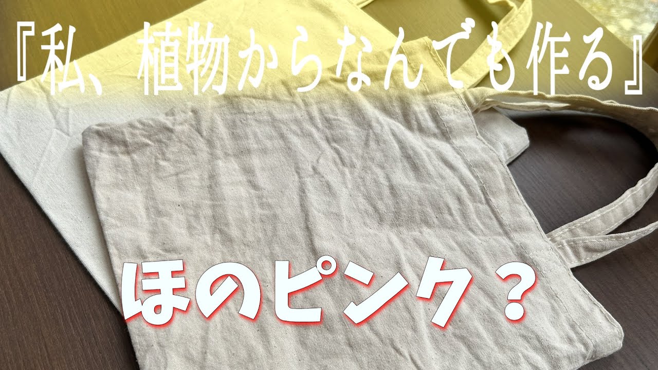 自然の色を染める 自然の色と染め: 天然染料による新しい染色の手引き | 木村 光雄 |本