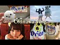 Vlog｜2泊3日の沖縄旅行🌺食べまくりはしゃぎまくり(*≧∀≦*)🩵