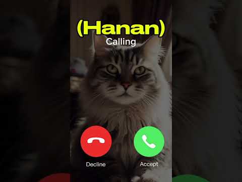 Hanan Is Calling You Ytshorts Youtubeshorts Cat Shorts Viral 