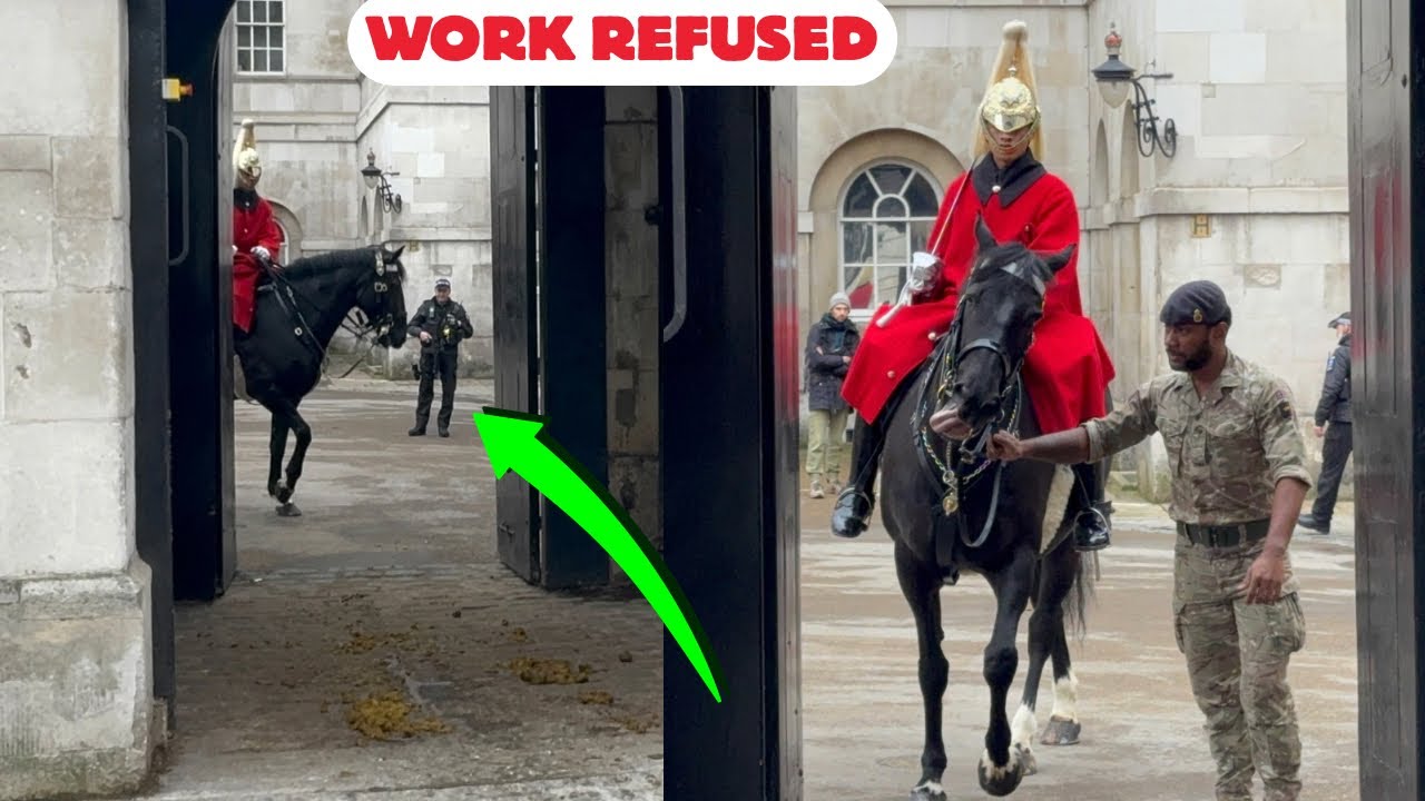 😱EXPLOSIVE! This Horse Definitely Doesn’t Want to Work