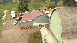 Pinot Noir Processing at Ruby Vineyard