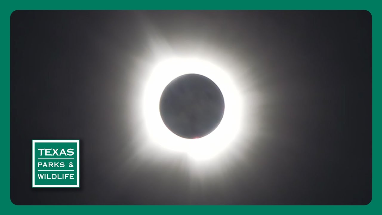 TPW Trailer - Episode 4, Season 40