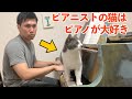 ピアニストの過酷な練習を見守る猫
