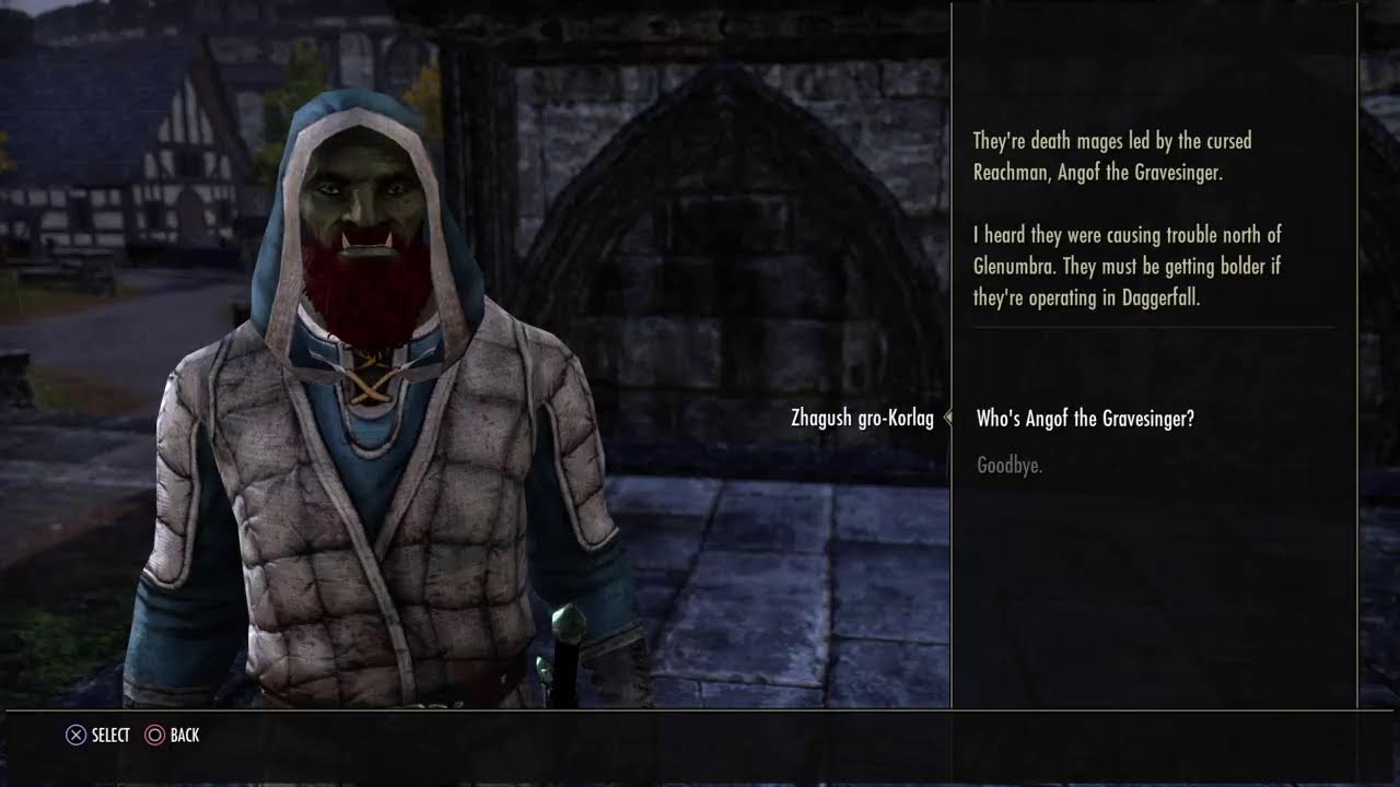 Soran ESO Story Character