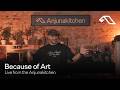 Because of Art | Live from the Anjunakitchen