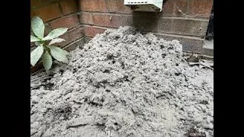 SHOCKING!!! Is This Your Home? Dryer Vent Cleaning Compilation!! #almetaldryervent #satisfying #asmr