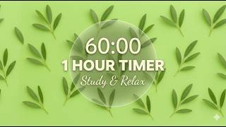 ☁️ Relaxing Study Timer 🎧 | Deep Work Session 1 Hour