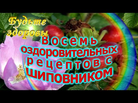 8 оздоровительных рецептов с шиповником