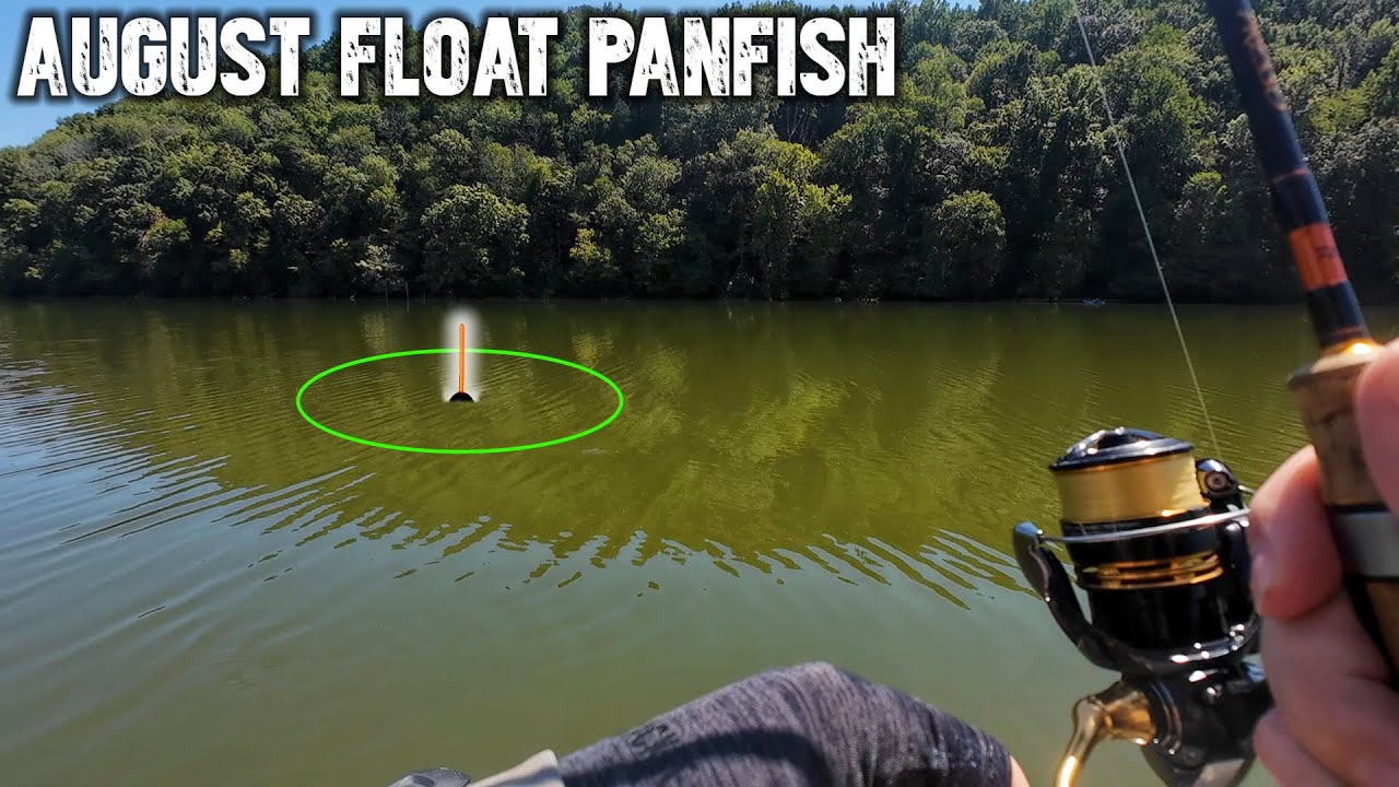 HOT Float Bite and Random Tackle Talk