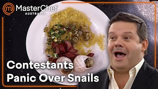 Struggling to Elevate Snail Dishes | MasterChef Australia | S02 E66