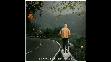 Tere Bina Jeena Pare Sad WhatsApp Status || Tree Fall Trnding What