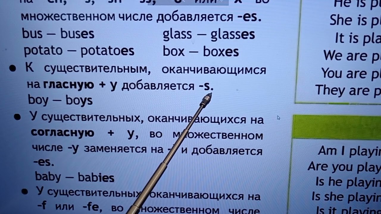 Spotlight 3 класс Модуль 6 Грамматический справочник