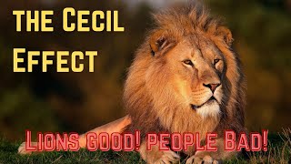 The CECIL Effect