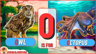 Letter O Animal Encyclopedia Abc Animals For Kids, Homeschooling