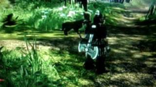 fable 2 i cant walk