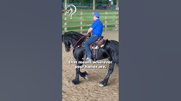 Tips For Working With A Hot Horse! Part 10 | The Horse Guru - Michael Gascon