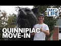 Day in the life of quinnipiac university freshmen movein