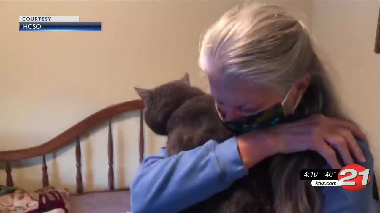 Holiday Miracle As Cat Missing For Four Years Returns - YouTube