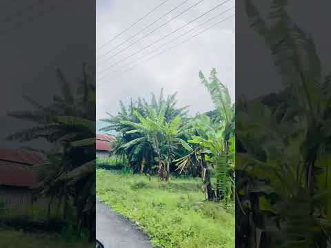 My first mini vlog kerabari!👀🙂 | Morang | @ashishch7