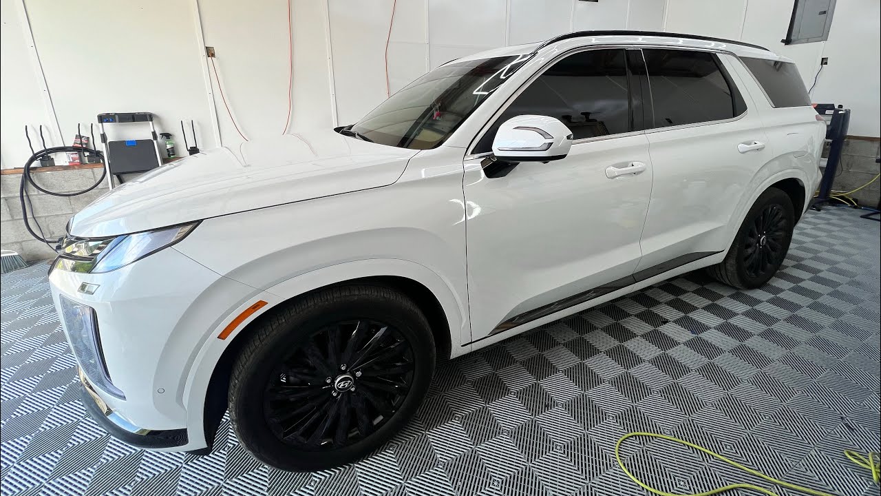 How To: 2024 Hyundai Palisade Door Panel/Sweep Removal - YouTube