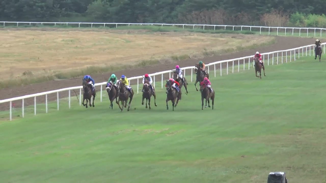 5 trka 26.7.2025.- Empowered Queen